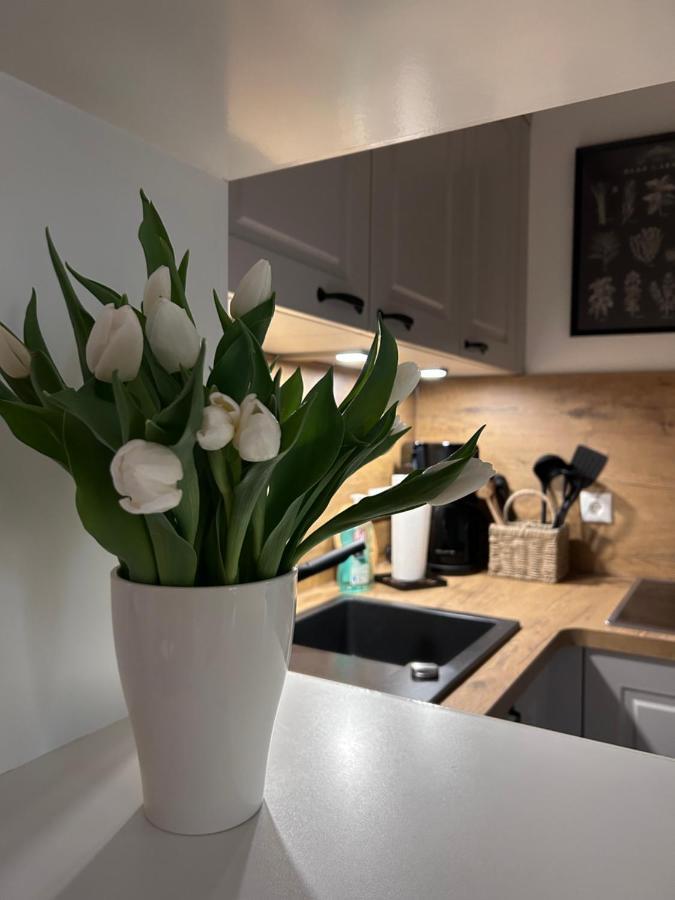 4 Wunderschoene Ferienwohnungen Im Kavaliershaus 슈베린 외부 사진